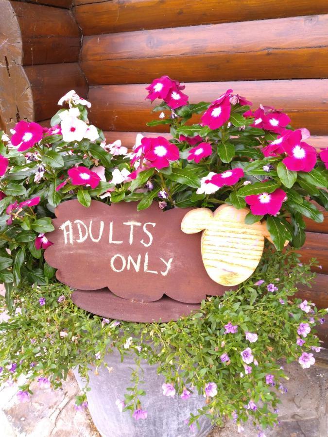Au Paradou Du Bucheron Adults Only Lessive エクステリア 写真